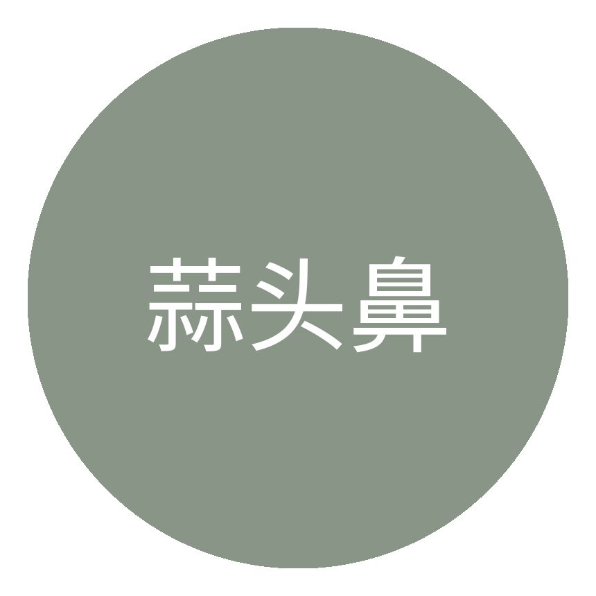 蒜头鼻类型图标