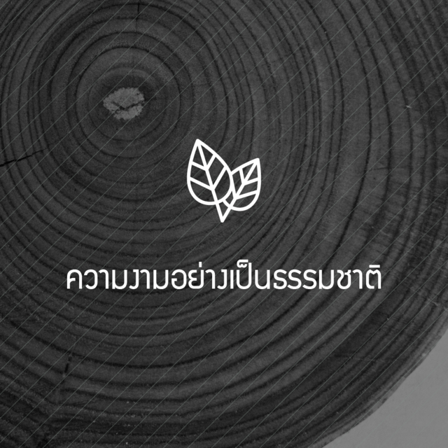 ความงามอย่างเป็นธรรมชาติ