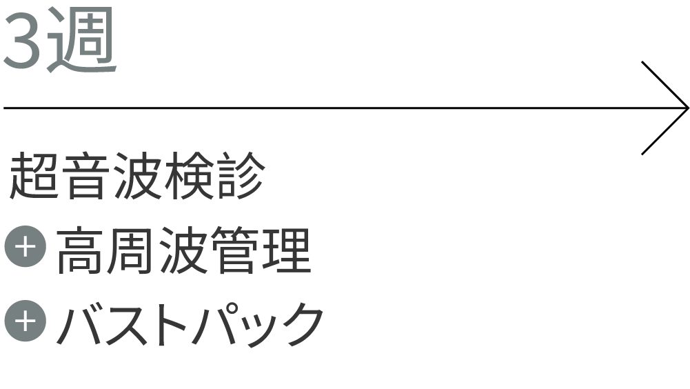 3週：超音波検診、LDM管理、バストパック