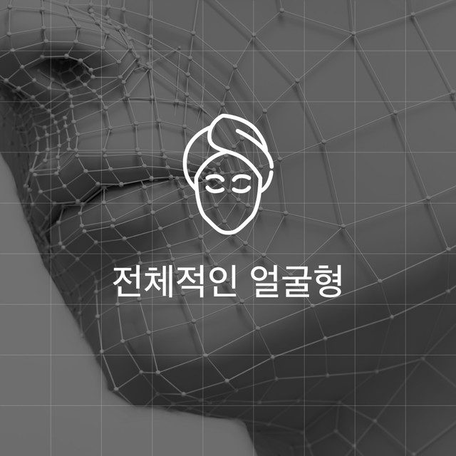 전체적인 얼굴형 아이콘