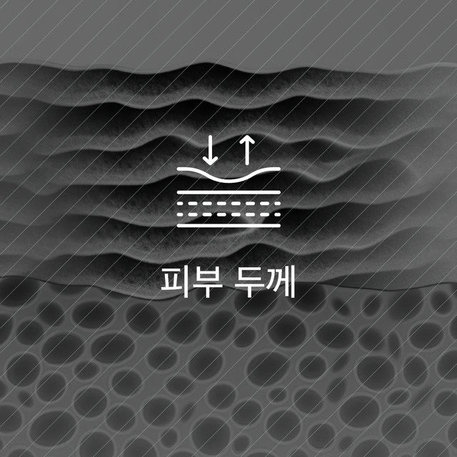 피부 두께 아이콘