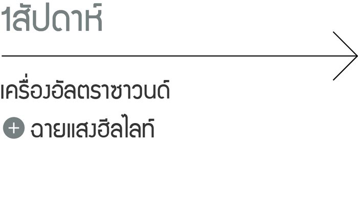 1 สัปดาห์: เครื่องอัลตราซาวนด์, Healite II
